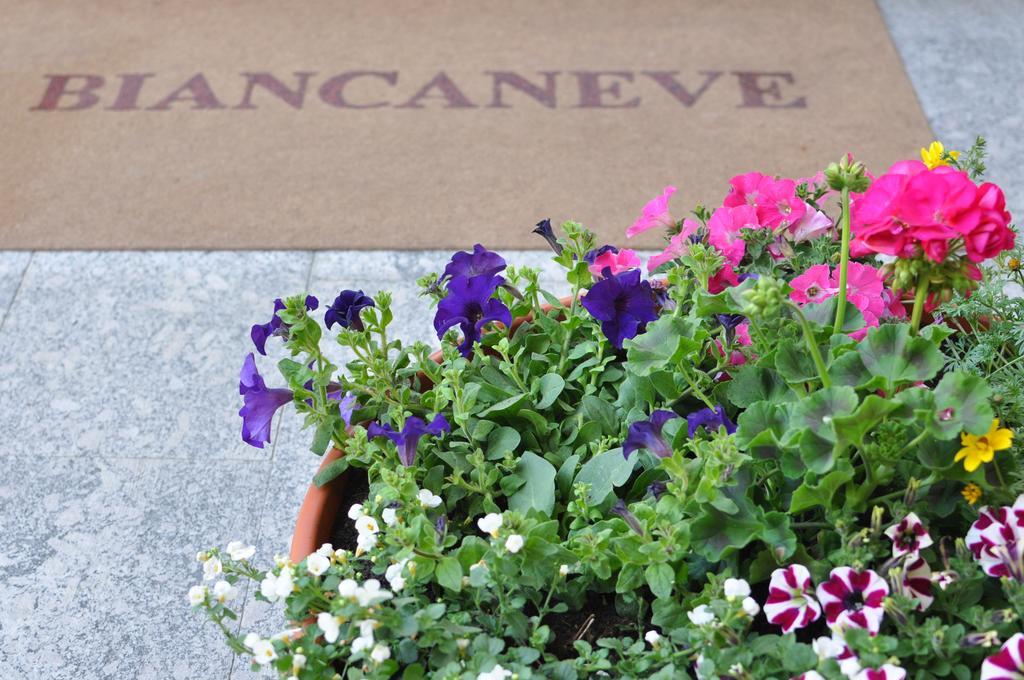 Residence Biancaneve Aprica Extérieur photo